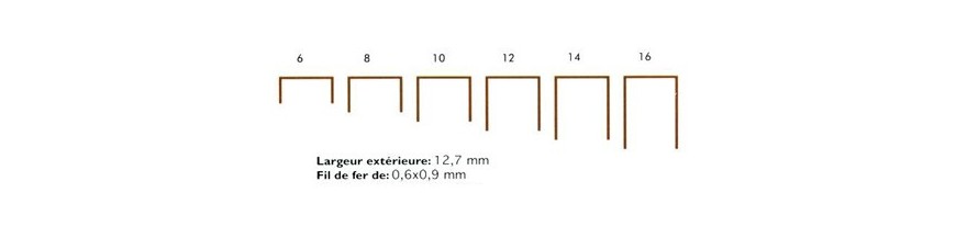 Agrafes - Type A (ou 80) - INOX compatibles Maestri ® EHB 20 - Materiel de  décoration et Fournitures de Tapissier
